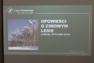 Opowieści o zimowym lesie