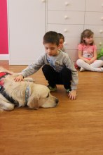 Dogoterapia