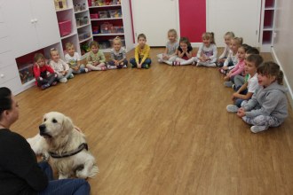 Zobacz galerię