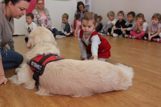 Dogoterapia