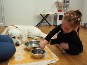Dogoterapia