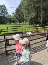 WYCIECZKA DO DOBOSZÓWKI