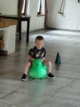 WYCIECZKA DO DOBOSZÓWKI
