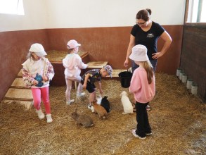 WYCIECZKA DO DOBOSZÓWKI