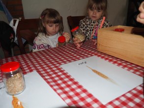WYCIECZKA DO DOBOSZÓWKI