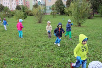 Sprzątanie Świata