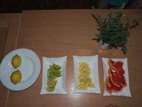 ROBIMY LEMONIADĘ