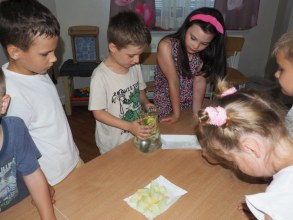 ROBIMY LEMONIADĘ